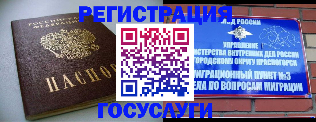 временная прописка в Ельне